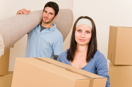 Senior review stage in a removals complaints procedure